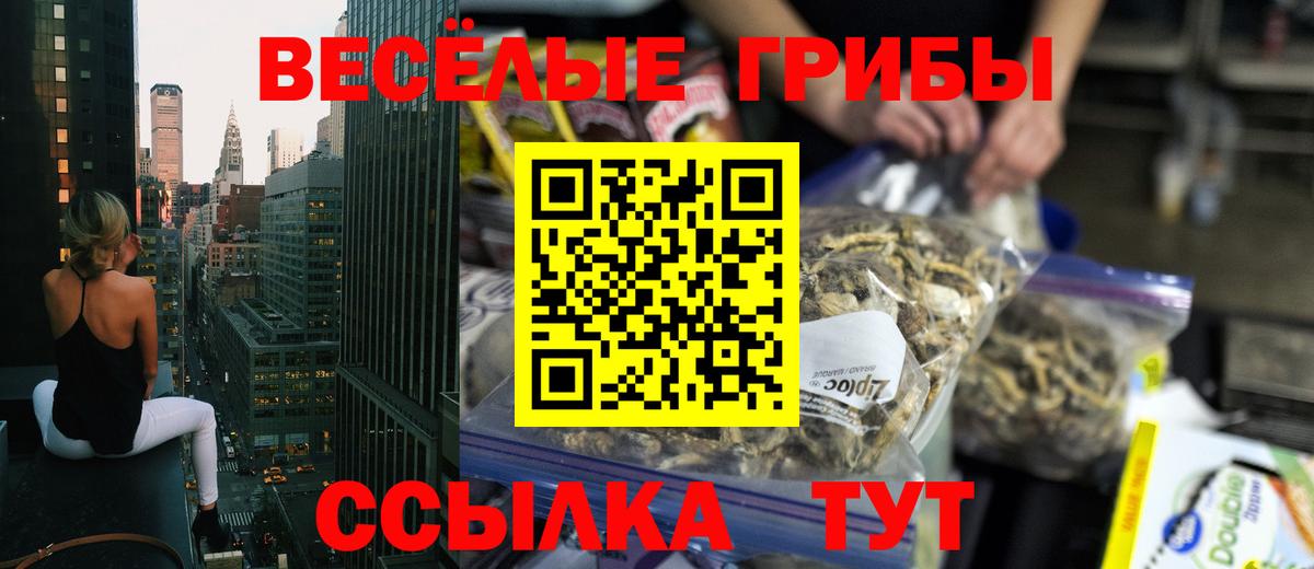 Кисловодск  Псилоцибиновые грибы мухоморы  Псилоцибиновые грибы Cubensis  Вход с VPN 