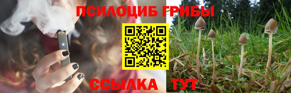 Псилоцибиновые грибы прущие грибы Кисловодск